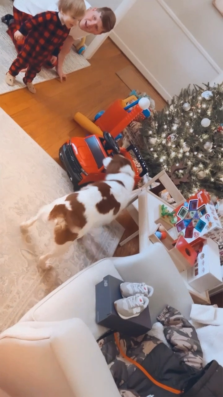 someone sure was happy to see what Santa Claus brought him 🎅🏽🥹🦌♥️

#LTKSeasonal #LTKGiftGuide #LTKHoliday