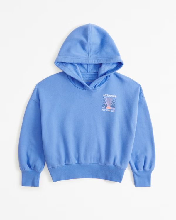 graphic logo popover hoodie | Abercrombie & Fitch (US)