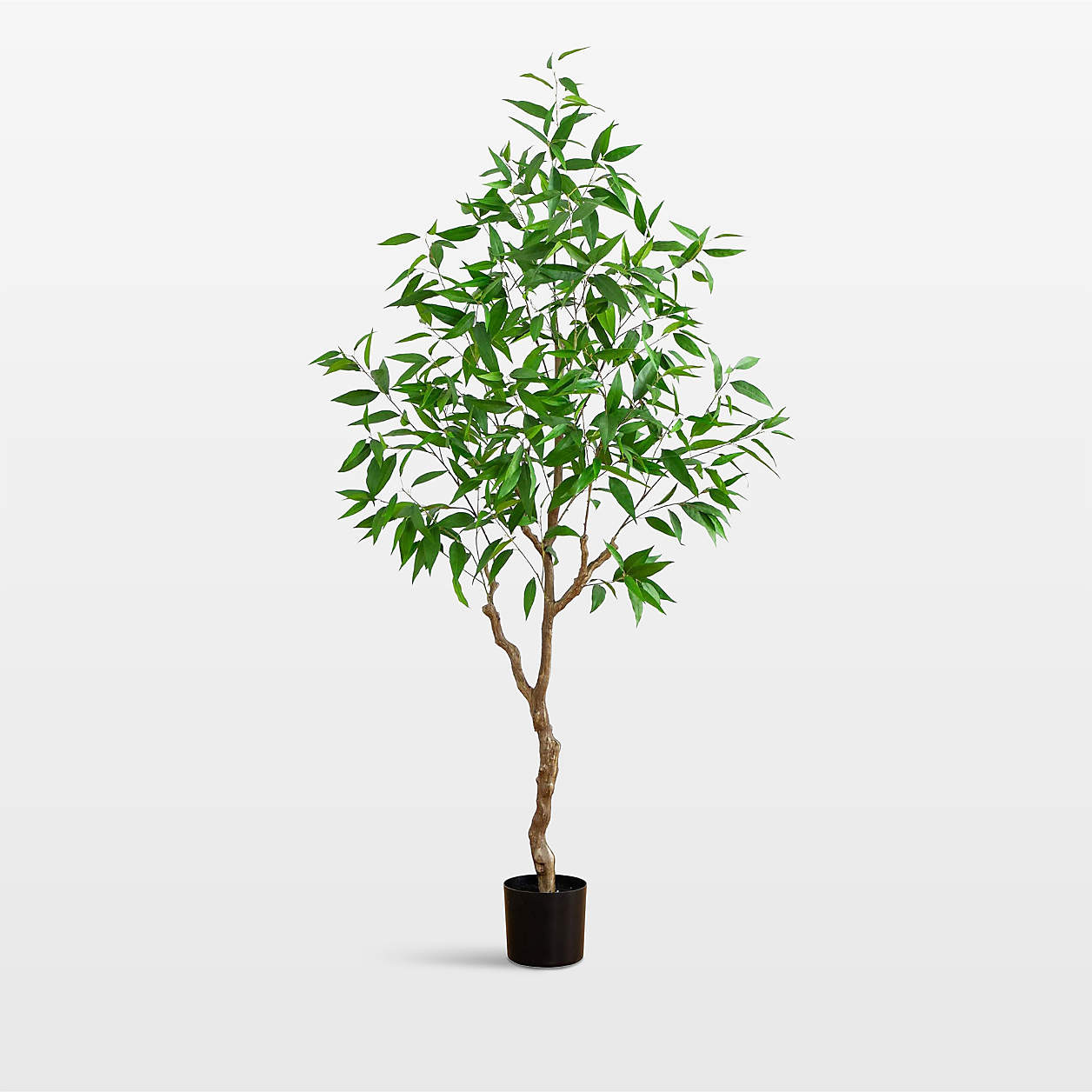 Faux Long Leaf Greco Eucalyptus Tree 7' | Crate & Barrel | Crate & Barrel