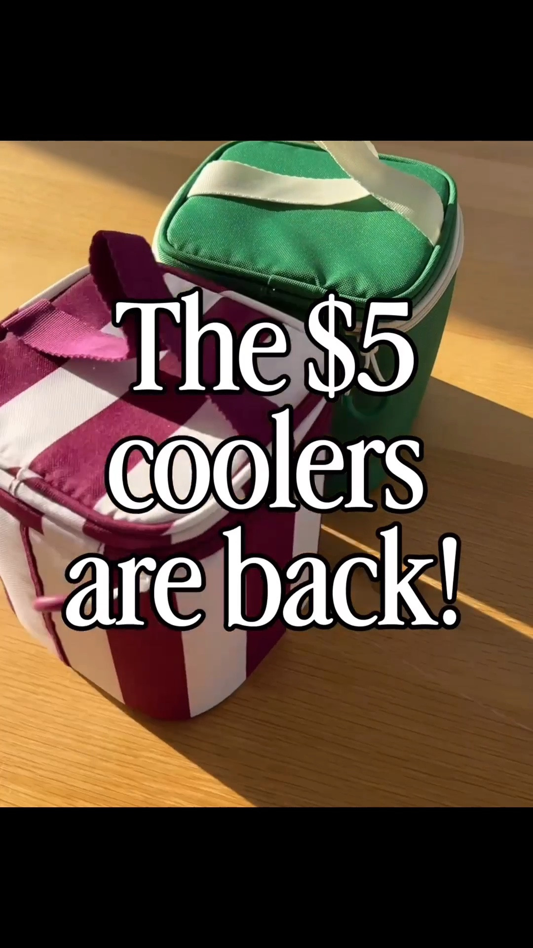 Little 4 can coolers! On sale for $3!!