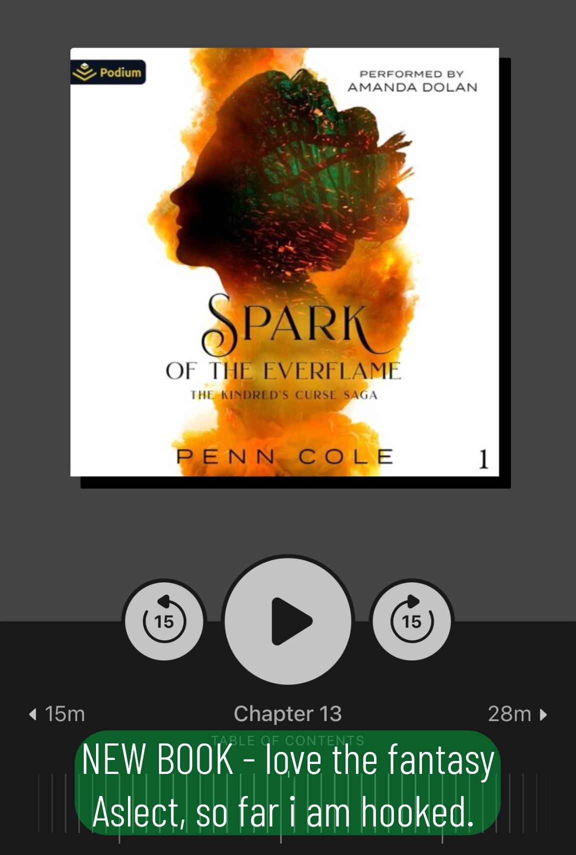 I’m linking the books, but I use the Libby app to check books out via our local library and I use Spotify premium for audiobooks. Highly recommend both platforms  

#LTKOver40 #LTKmomlife