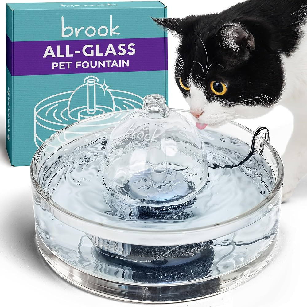 Brook Glass Pet Fountain (90oz/2.7L) – Cat & Dog Water Fountain – Glass Cat Fountain & Automa... | Amazon (US)