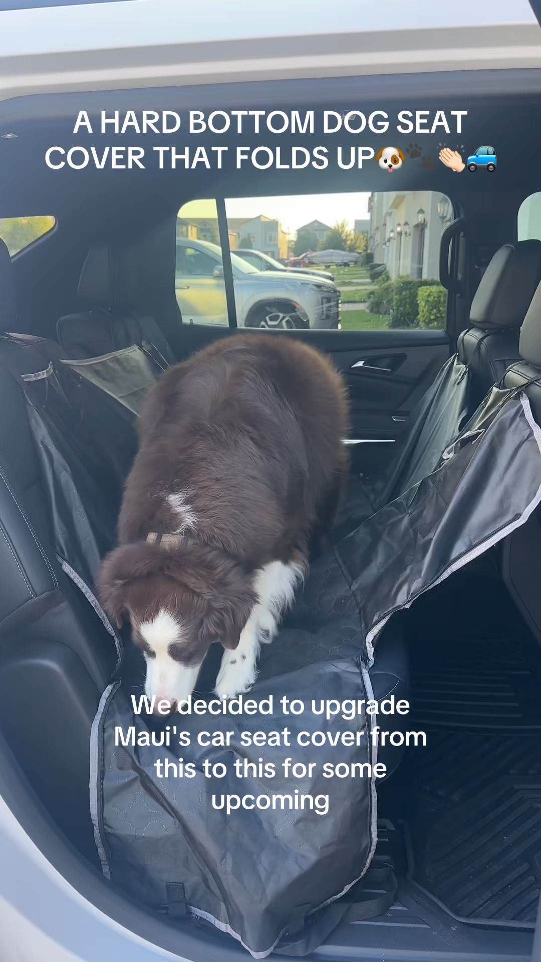 Dog parent must have!! Hard bottom car seat cover💚 Amazon finds, Amazon dog must haves, Amazon essentials, dog mom, summer road trip #dog 

#LTKmomlife #LTKSaleAlert #LTKvlog