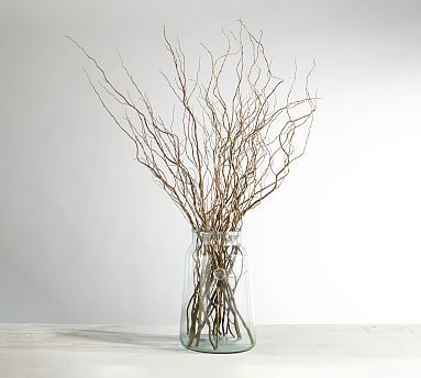 Live Curly Willow Branches | Pottery Barn (US)