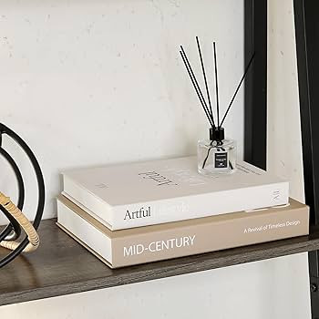 Aesthetic Decorative Books - Set of 2 Stylish Boxes Enhance Your Coffee Table, Bookshelf or Mantl... | Amazon (US)