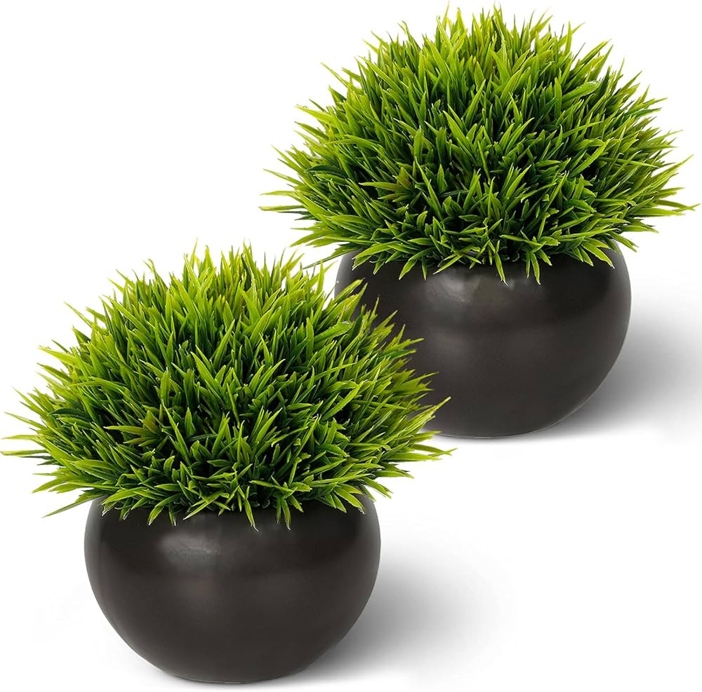 Fake Potted Plants Small Artificial Grass with Matte Black Ceramic Pots Faux Plant Greenery for B... | Amazon (US)