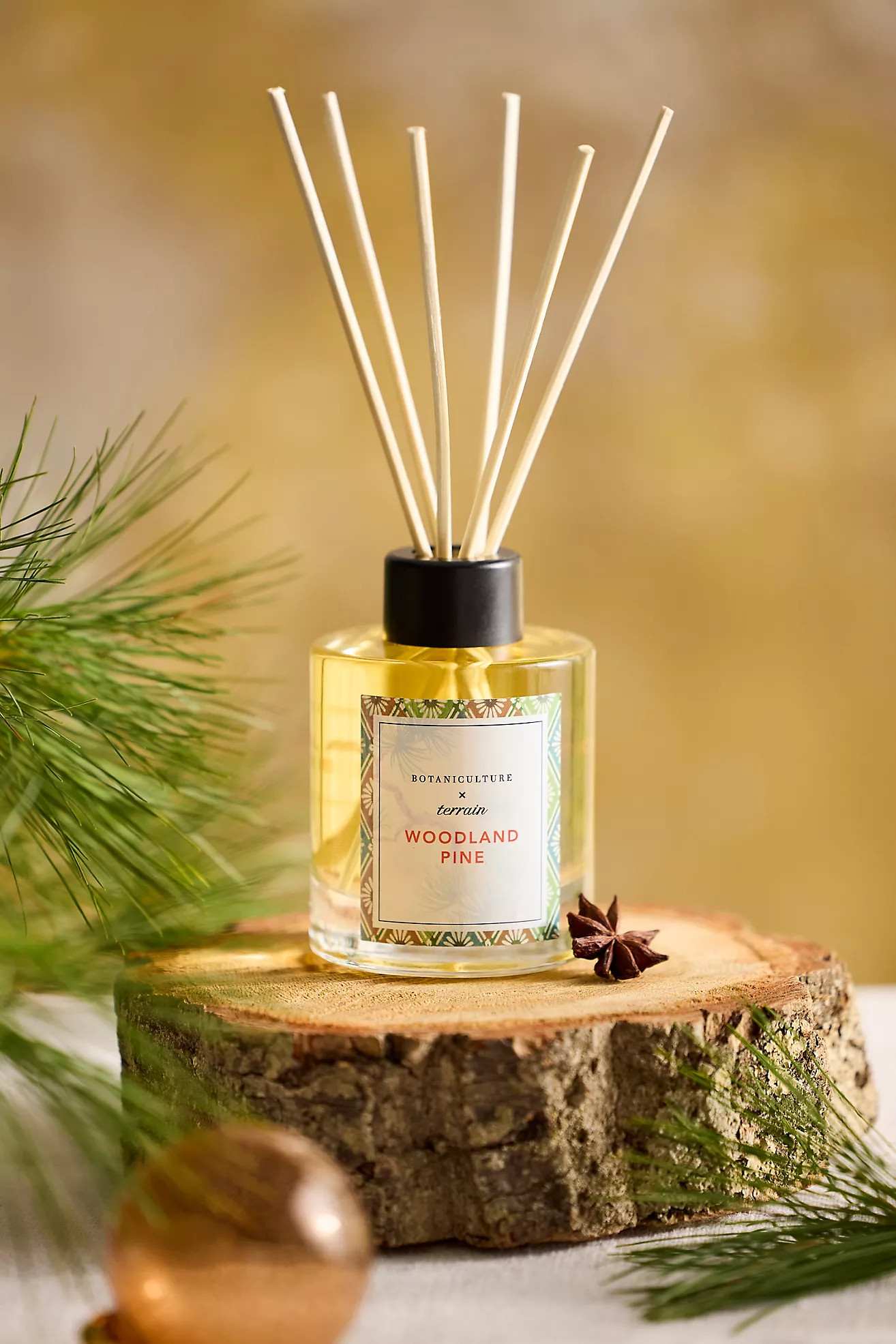 Botaniculture Reed Diffuser, Woodland | Anthropologie (US)