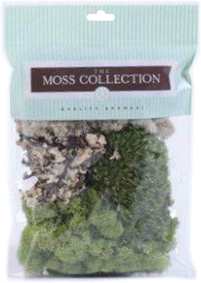 Quality Growers Variety Pack Moss, 108.5 Cubic Inch | Amazon (US)