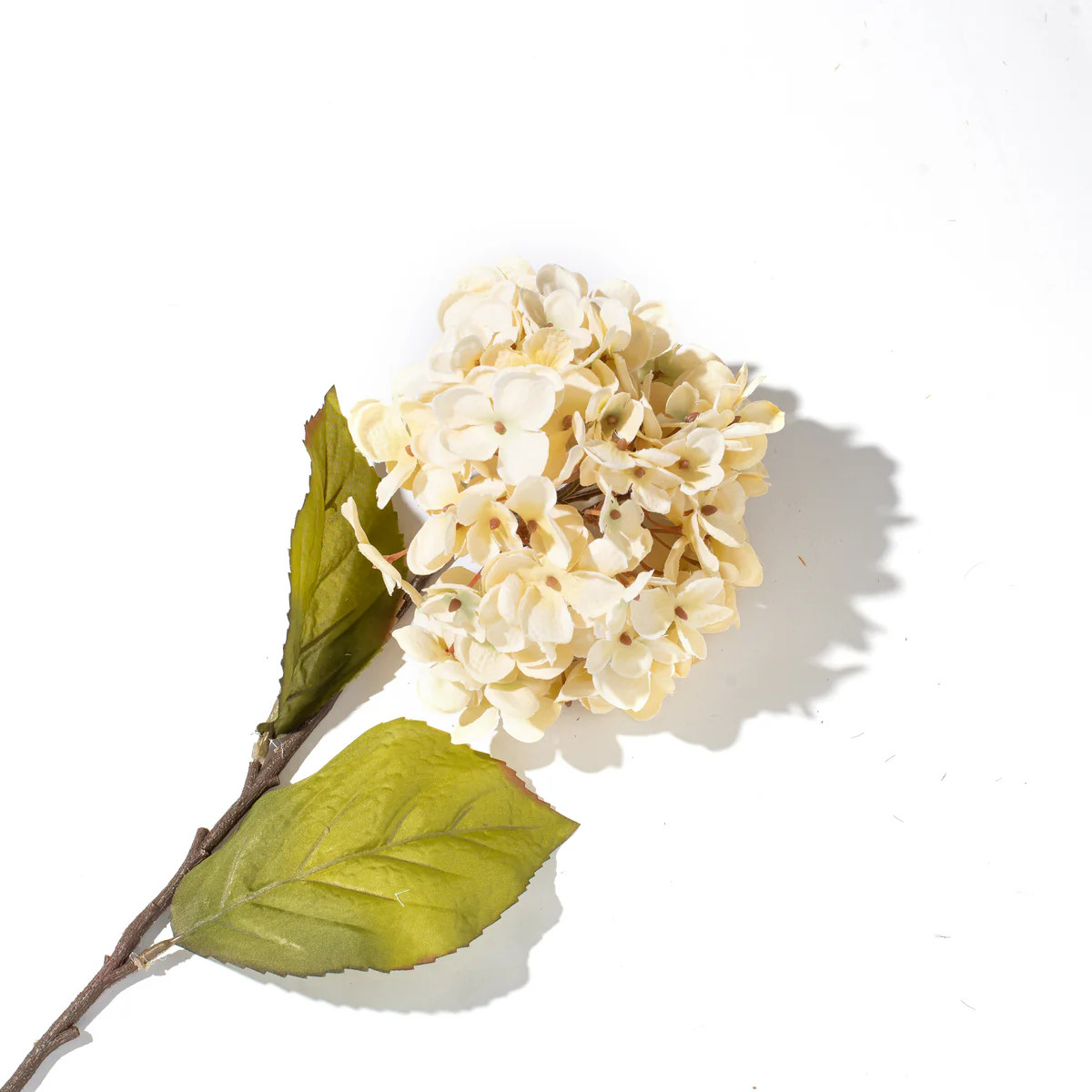 Neutral Cream Silk Faux Hydrangea Stem Spray - 28" | Darby Creek Trading
