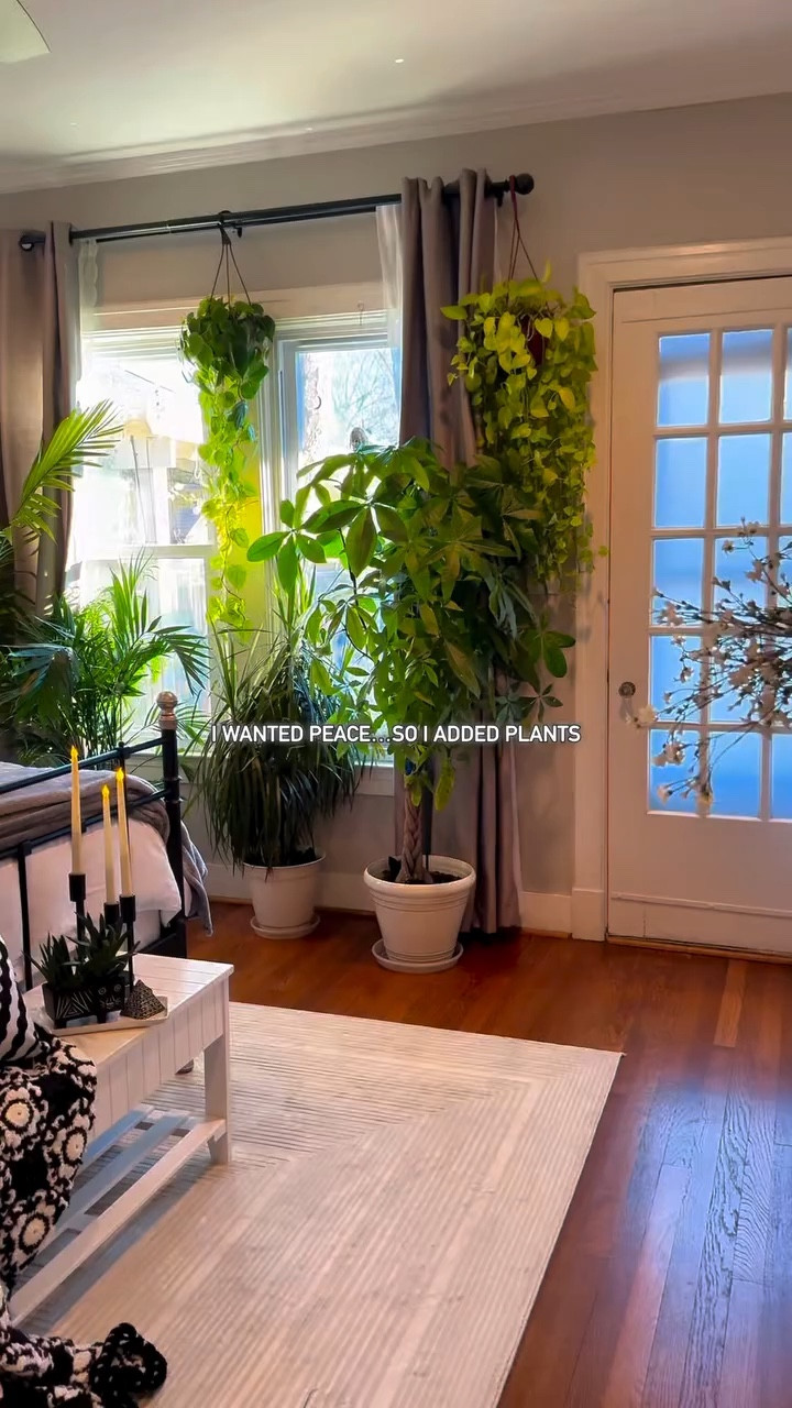 Story of my life- There was a time when life felt a little dull, like something was missing. Then I found plants 🌿 🤗

Watching a tiny seed grow into something alive filled me with a kind of joy and peace I had never felt before. It slowed me down, grounded me, and brought a quiet excitement back into my days.🥰
Now, every new leaf feels like a reminder of God’s beautiful creation. Plants didn’t just grow in my home… they grew something in me too ❤️❤️🤗