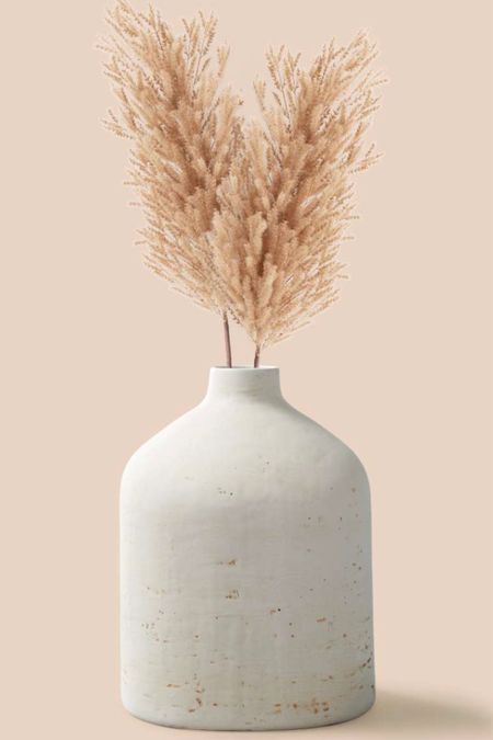 Target Find - Distressed Ceramic Vase 

#LTKhome #LTKunder50 #LTKSeasonal