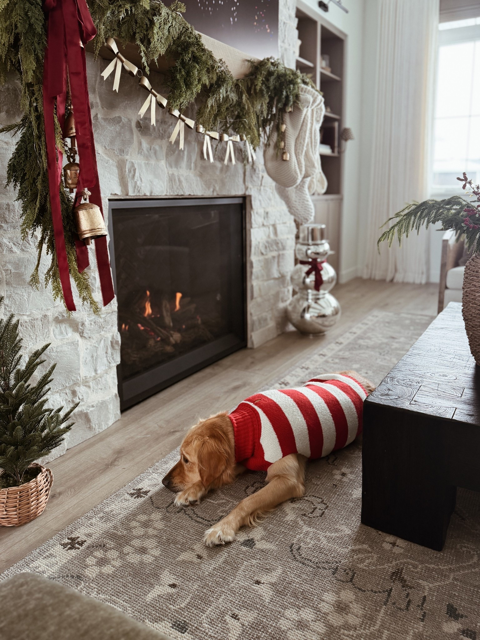 #LTKHoliday #LTKHome #LTKFindsUnder50