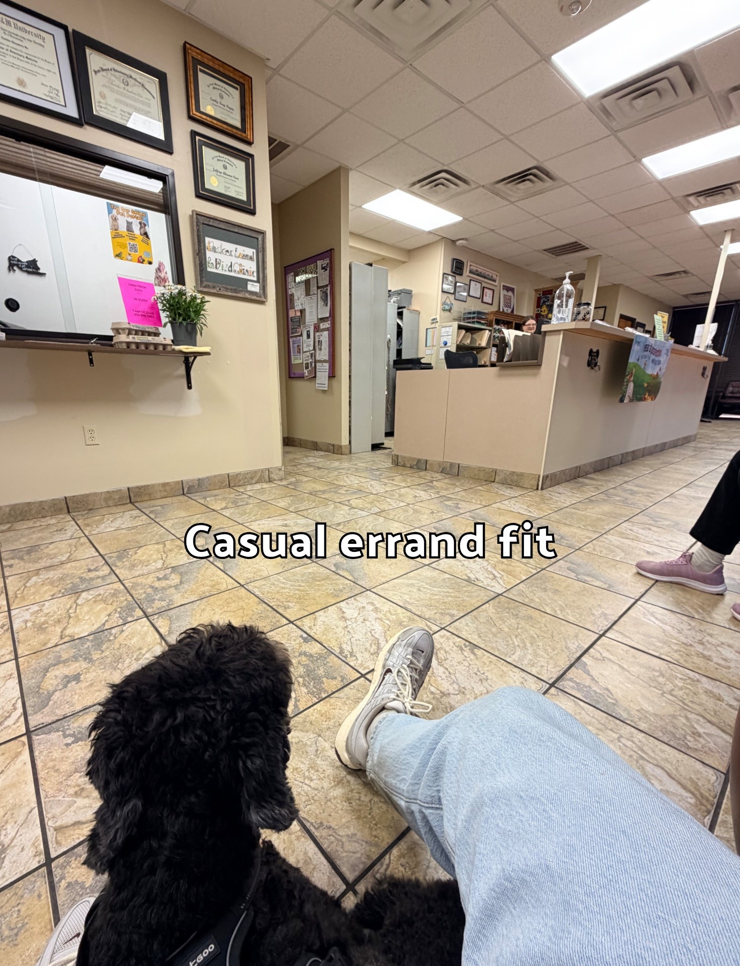 Benny had his annual vet appt today. Casual fit for a casual vibe! Pup is all healthy!

#LTKMens #LTKgrwm
