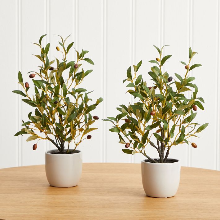 Faux Potted Tabletop Olive Tree - Set of 2 | West Elm (US)