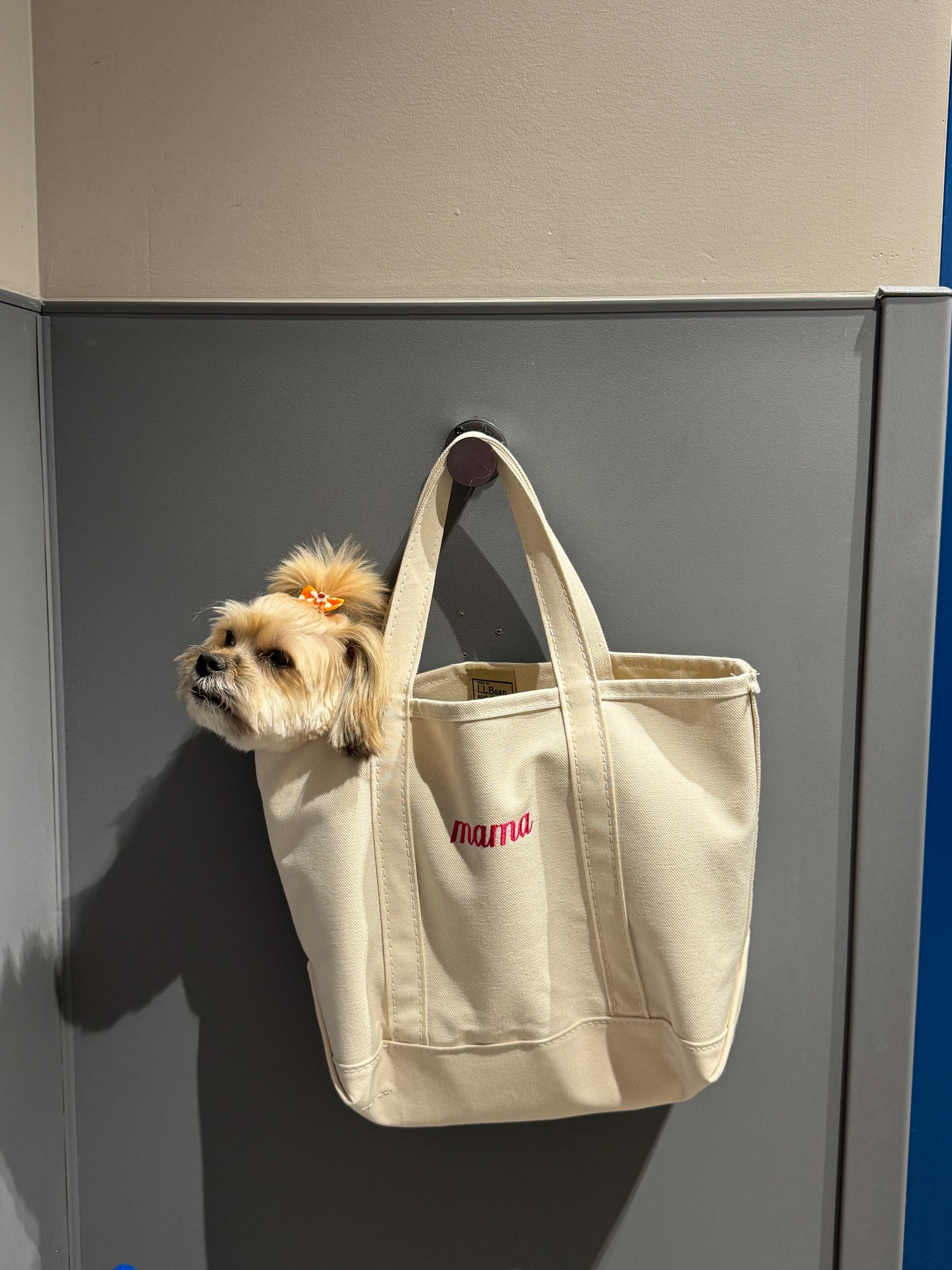 New boat tote 

#LTKGiftGuide #LTKBaby #LTKItBag