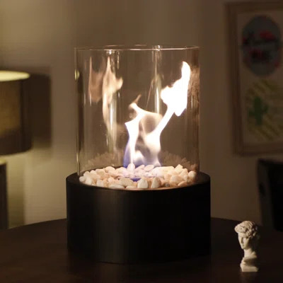 Metal Bio-Ethanol Outdoor Tabletop Fireplace with Flame Guard | Wayfair North America