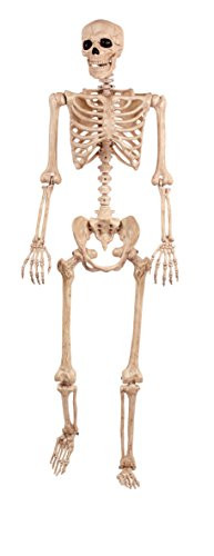 Crazy Bonez Pose-N-Stay Skeleton | Amazon (US)