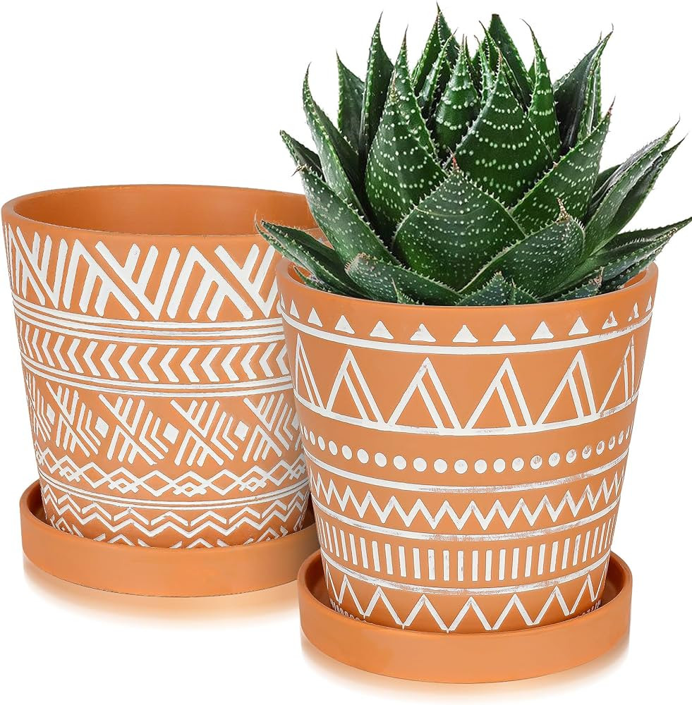 6 inch Planters for Indoor Plants,Ceramic Plant Pots with Drainage Holes and Saucers, Boho Plant ... | Amazon (US)