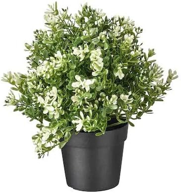 Amazon.com: Ikea TSSP Artificial Potted Plant, thyme9 cm (3 ½ ") : Home & Kitchen | Amazon (US)