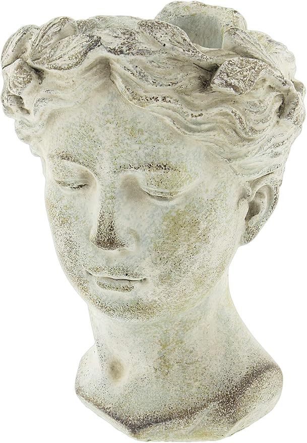Greek/Roman Style Female Statue Head Cement Planter (Style 1) | Amazon (US)
