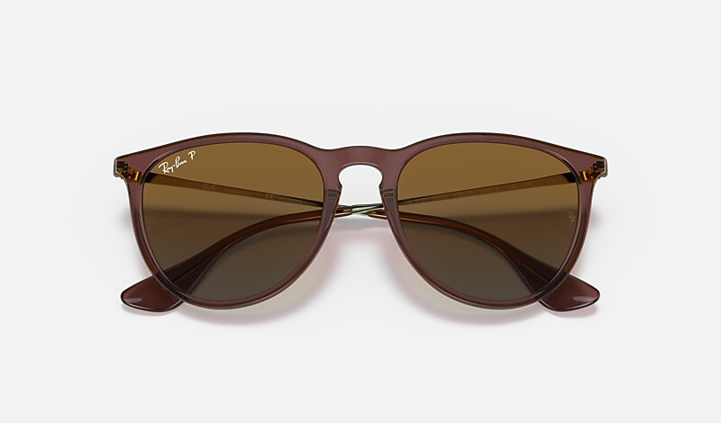 ERIKA CLASSIC RB4171 622/8G 54-18 | Ray-Ban (US)