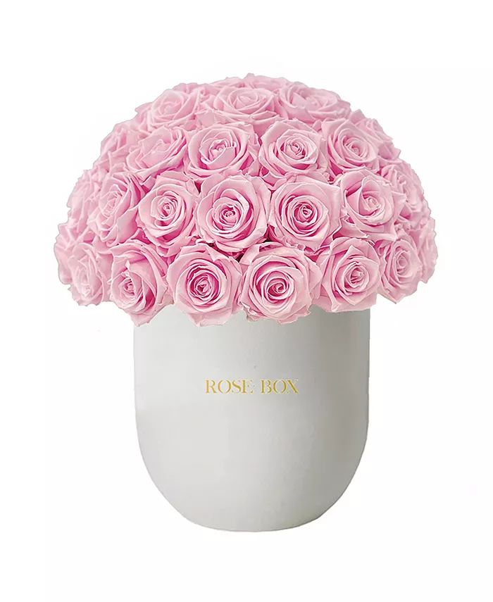 Rose Box NYC Half Ball of Long Lasting Preserved Real Roses in Premium Ceramic Vase, 50-55 Roses ... | Macy's