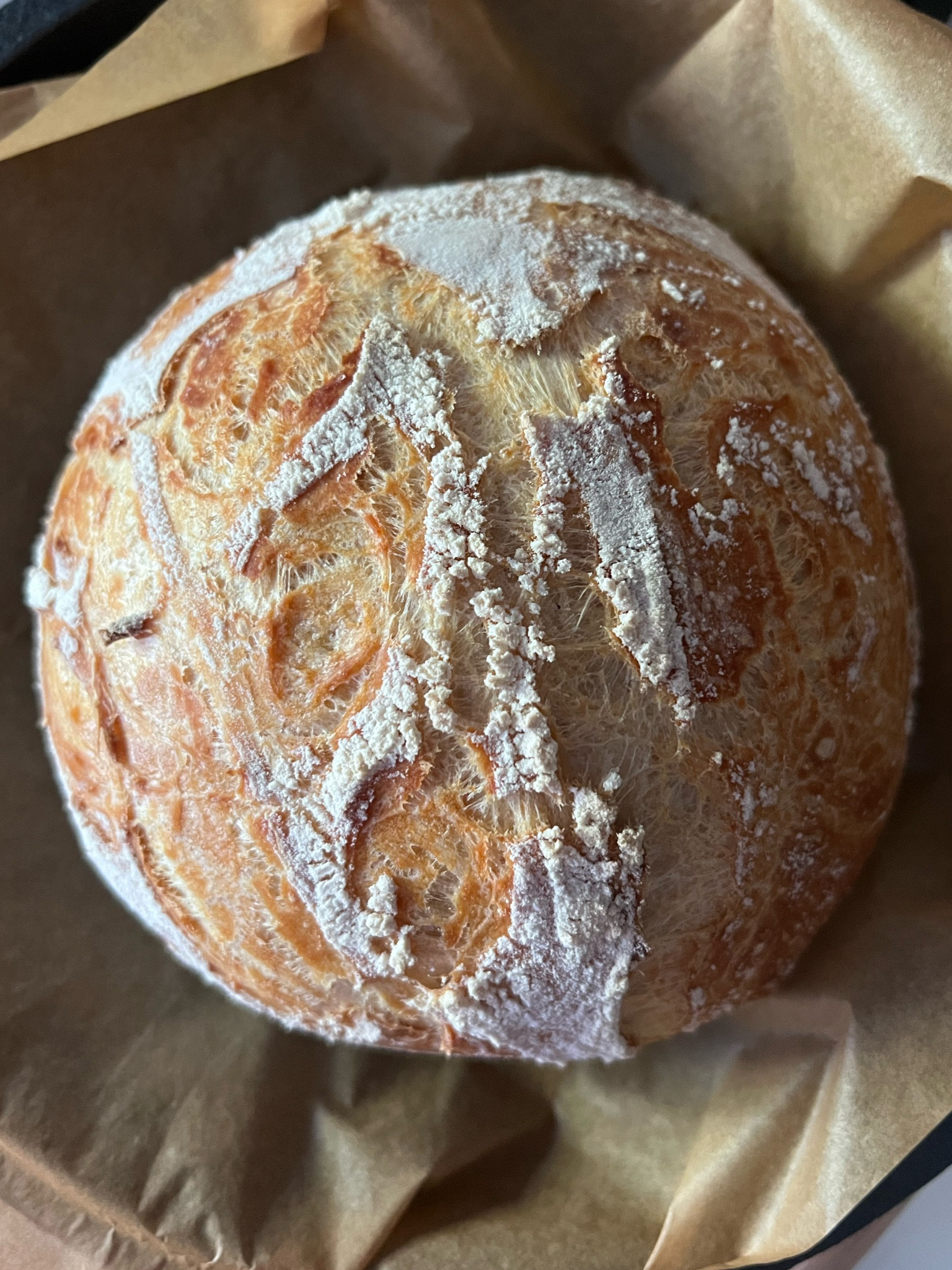 Sourdough bread necessities 🥖
 These are the items that you’ll need and are going to make your bread making journey easier! You can definitely substitute items with what you have at home 🫶🏼 
I ordered a starter from King Arthur that came wet, so I was able to start as soon as I fed it ✨ #sourdoughbread #amazonfinds #sourdough #breadmaking #baking #bakery 

#LTKGiftGuide #LTKhome