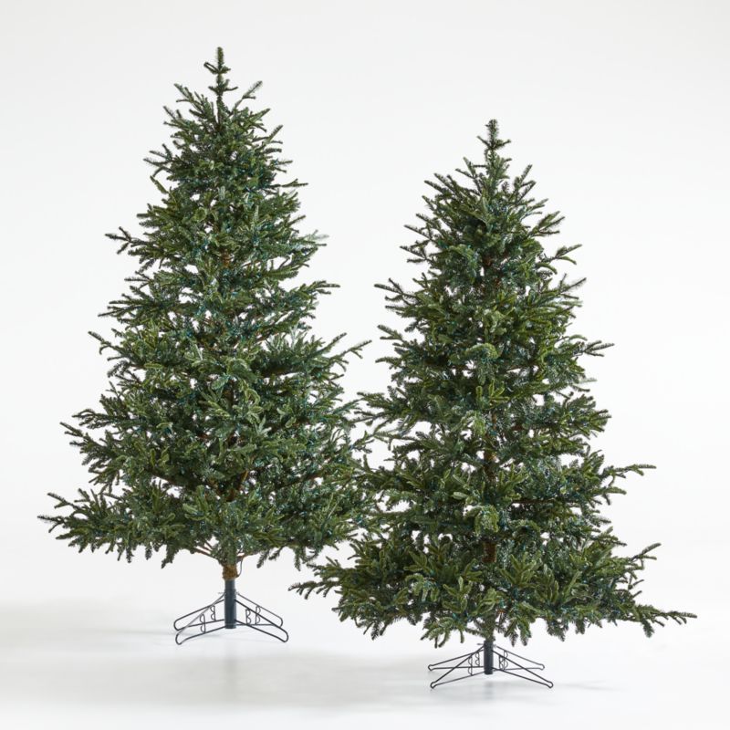 Faux Noble Fir Pre-Lit LED Christmas Trees with Multi-Color Lights | Crate and Barrel | Crate & Barrel