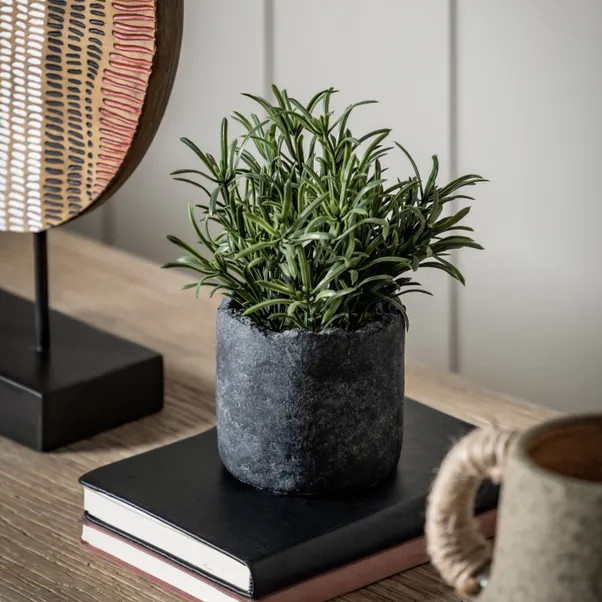 Artificial Fern in Cement Plant Pot | Dunelm