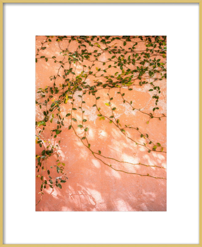 Botanical San Miguel de Allende | Shadow light play Mexico photography by Raisa Zwart on Artfully... | Artfully Walls