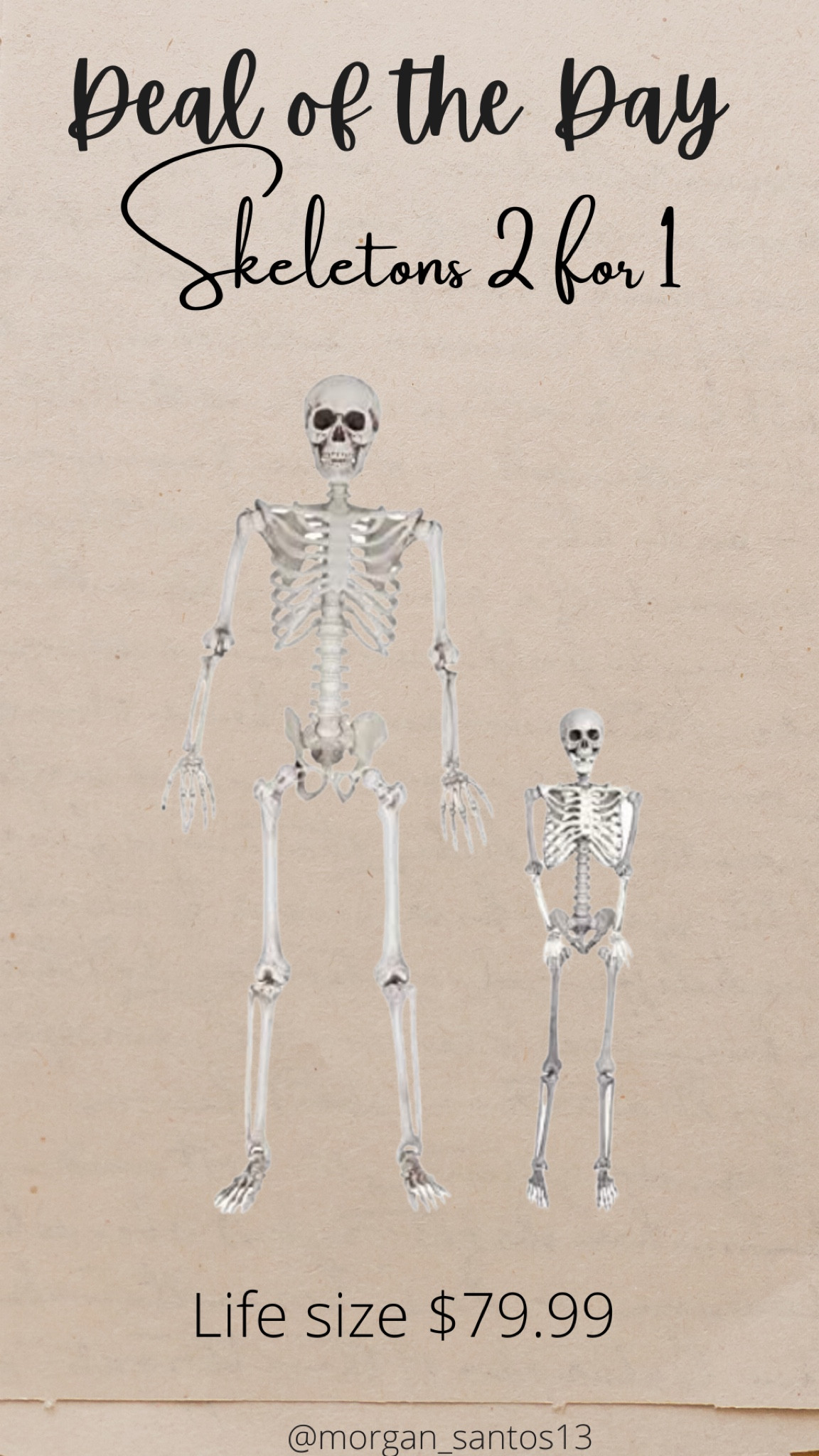 Halloween full size Skeleton #halloween

#LTKhome #LTKunder100 #LTKSeasonal