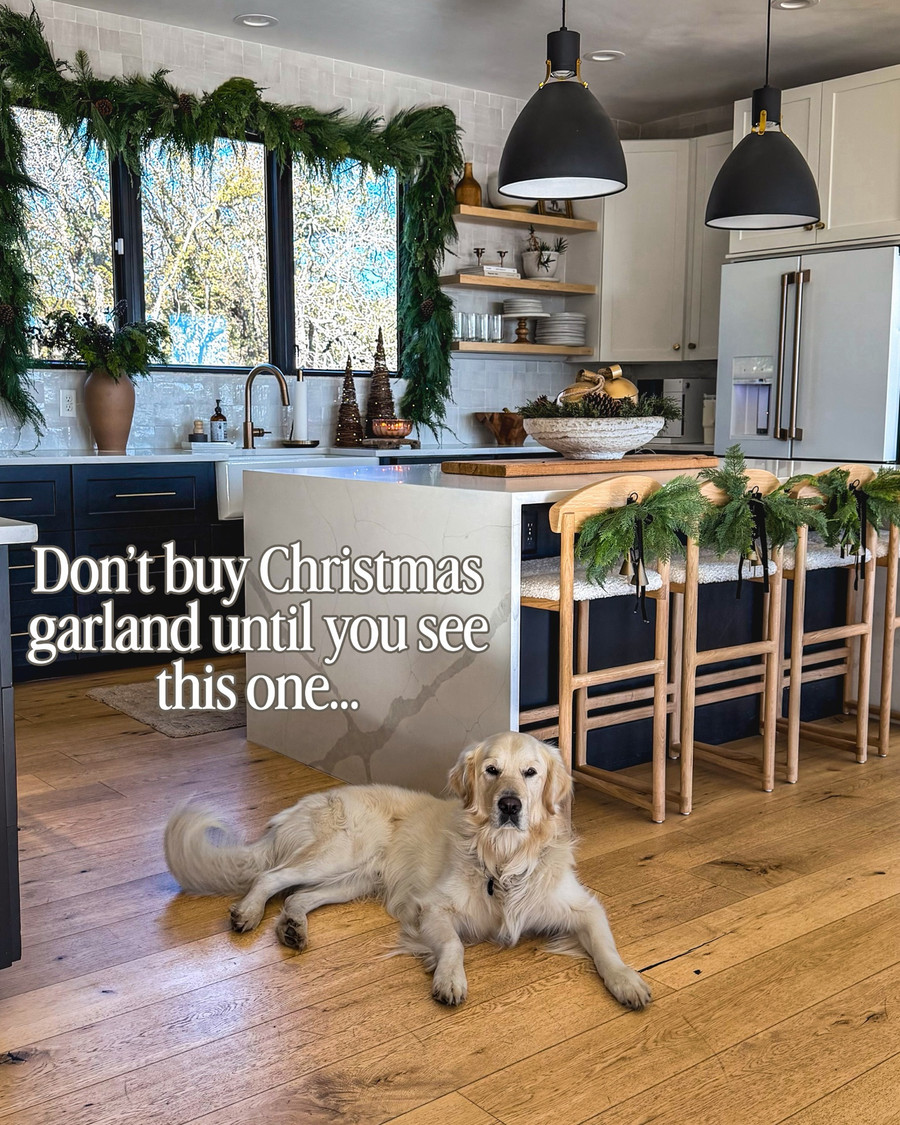 If you’ve followed me through a few Christmases, you’ve seen these Norfolk pine…