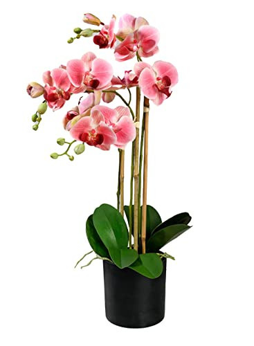 Serene Spaces Living 3 Pink Realistic Phalaenopsis Orchids in Black Plastic Pot, Artificial Potted Flowers - Beautiful Entryway Vase, Foyer Table Décor, Great Gift, Measures 5" Diameter & 26" Tall | Amazon (US)