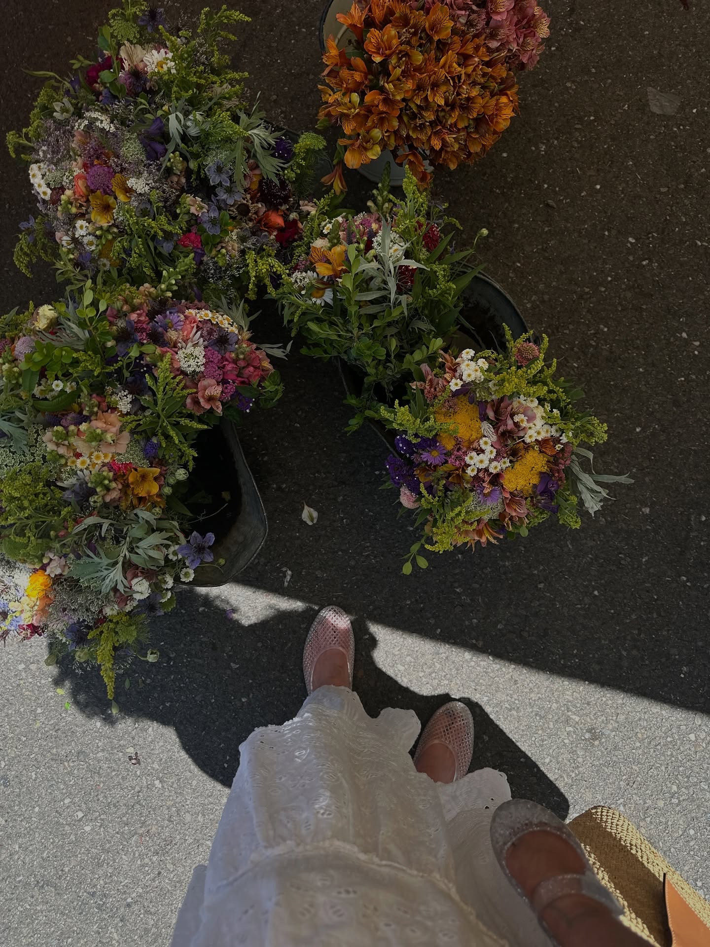 Weekend camera roll 🍒🌿

#gardeninspo #sezane #weekendthings