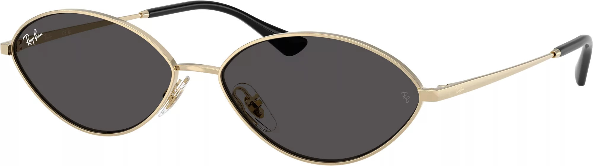 Ray-Ban Kai Sunglasses, Women's | DICK'S Sporting Goods
