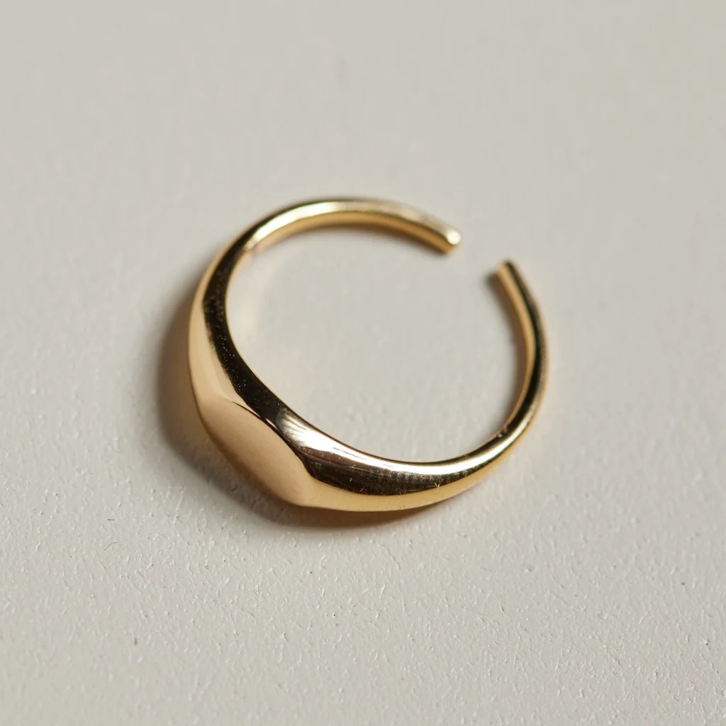 Skinny Insignia Ring | Nickel and Suede