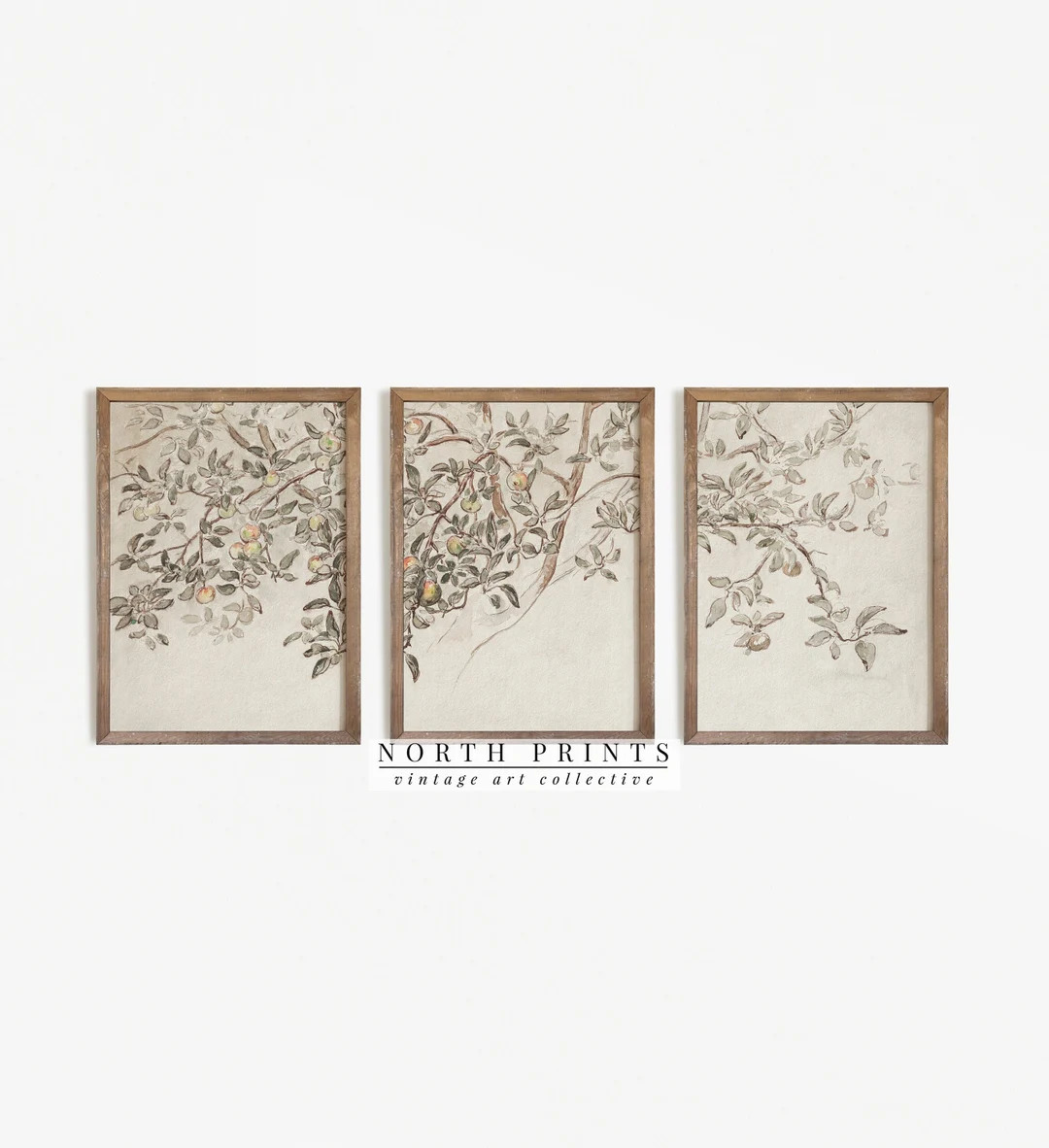Vintage Gallery Wall SET of Three Apple Tree Sketch Art Neutral Triptych Split Panel PRINTABLE Di... | Etsy (US)