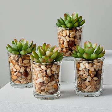 Faux Potted Mini Succulents | West Elm (US)