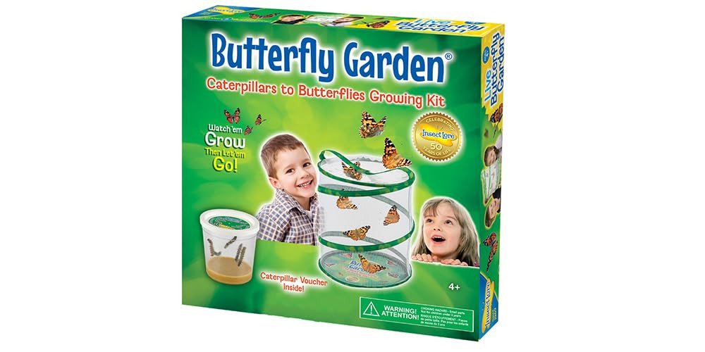 Insect Lore Butterfly Garden (Packaging May Vary) | Amazon (UK)