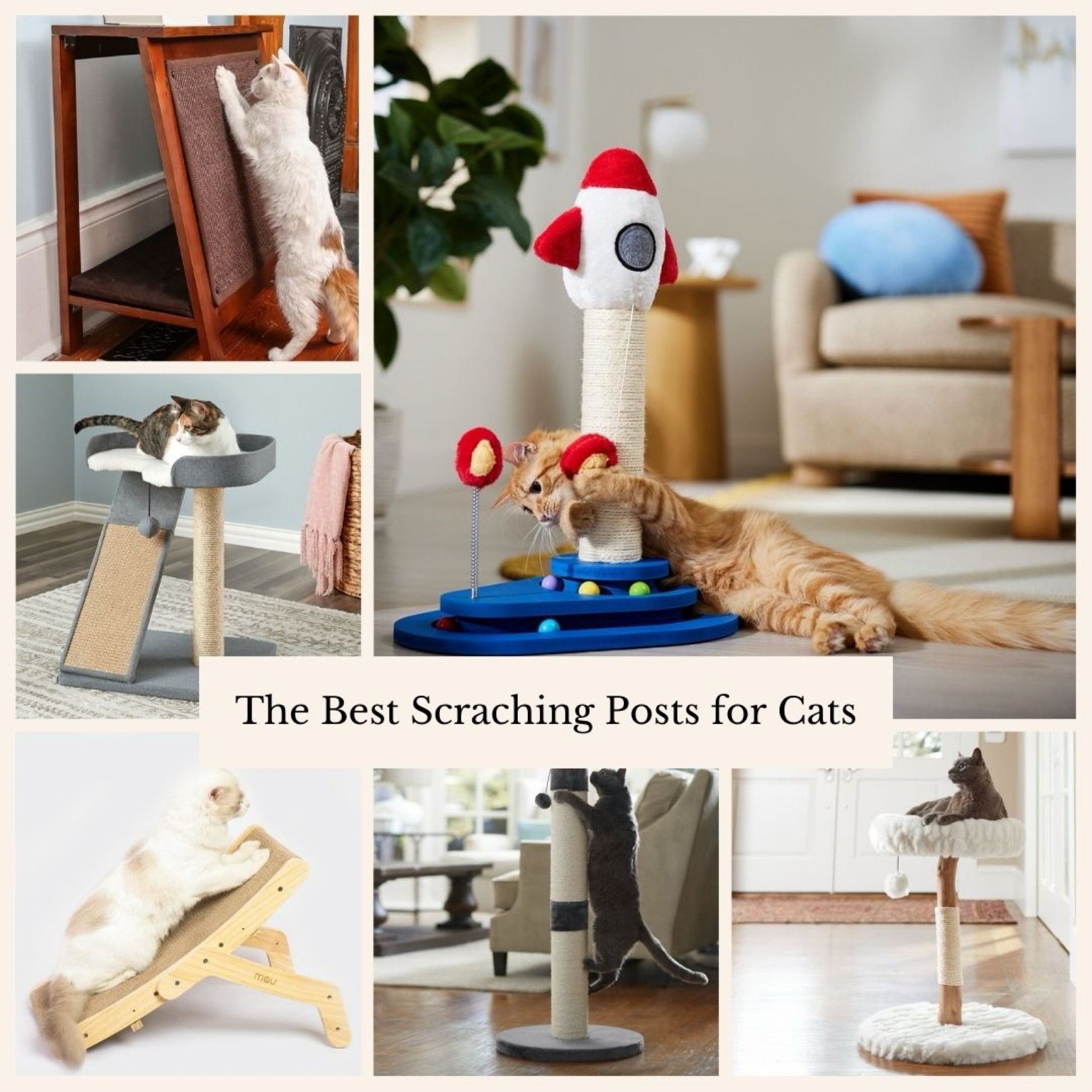 sisal rope cat scratching post Floating Cat Step for Wall main image 0