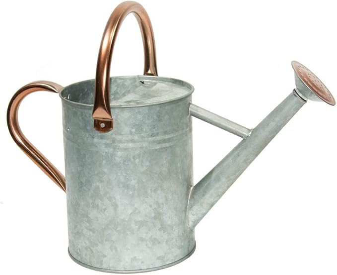 yourjoy Steel Watering Can Sliver Galvanized Steel Watering Can with Copper Accents,Removable Ros... | Amazon (CA)