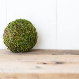 6'' Form Moss Ball by Ashland® | Michaels | Michaels Stores