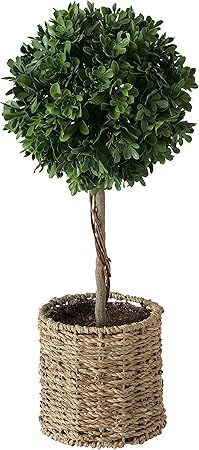 WHW Whole House Worlds Realistic Faux Potted Boxwood Ball Topiary Tree, Rattan Basket Planter, 17... | Amazon (US)