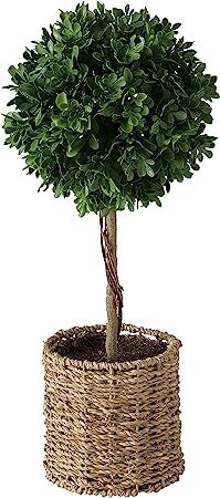 WHW Whole House Worlds Realistic Faux Potted Boxwood Ball Topiary Tree, Rattan Basket Planter, 17... | Amazon (US)