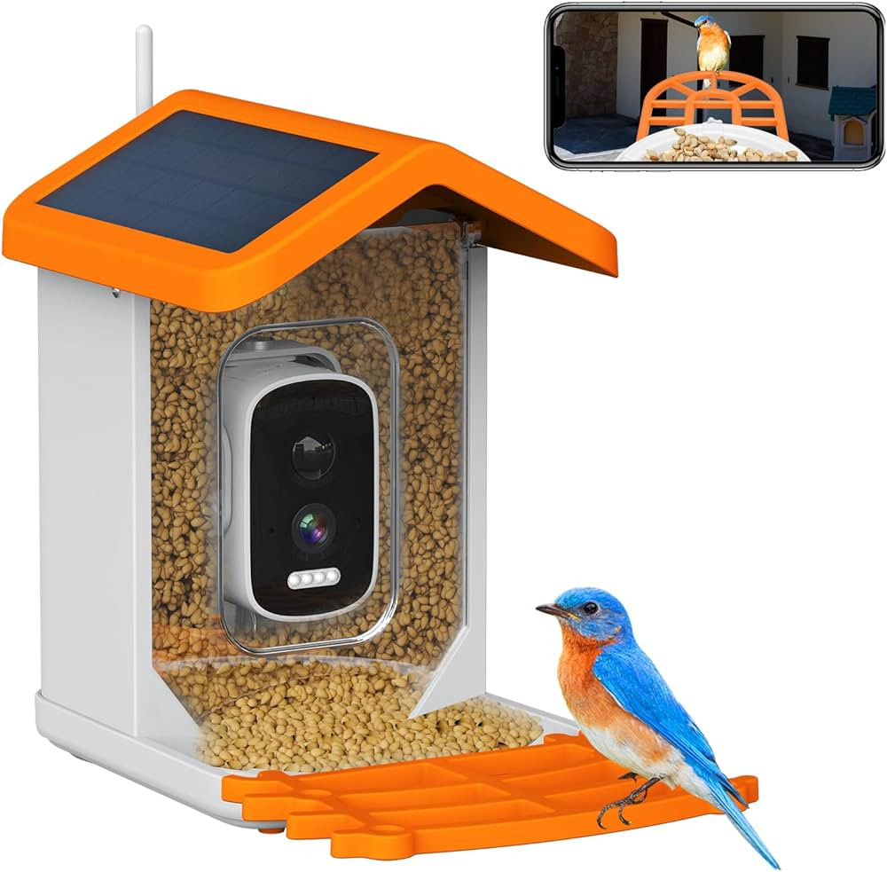 Wild Bird Feeder Camera, Smart Motion Activated Bird Camera with AI Auto Identify & Live Video Ca... | Amazon (US)