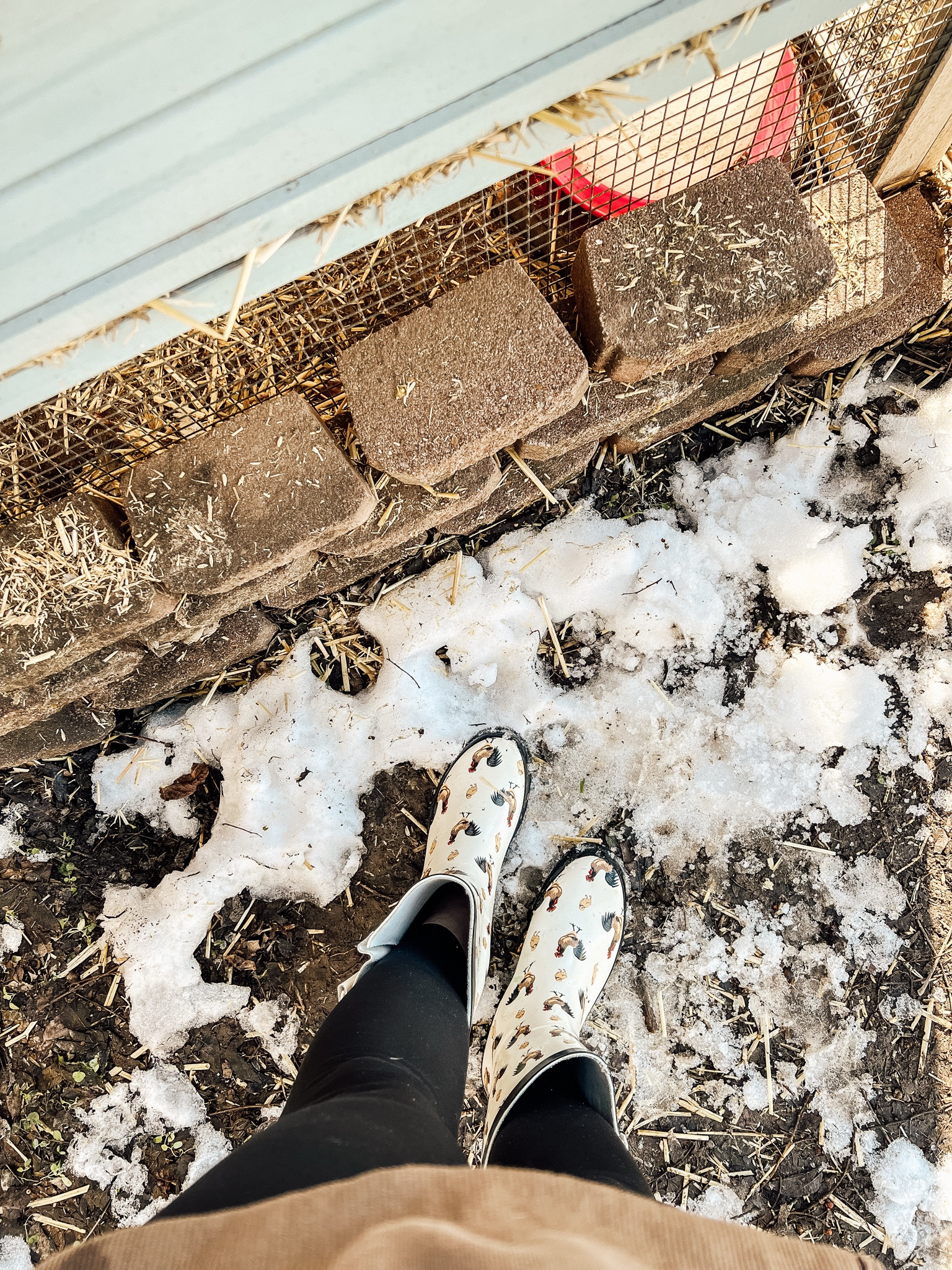 Chicken Rain Boots, Mid Rain Boots, Cute Rain Boots🐓🐥

#LTKGiftGuide #LTKSaleAlert #LTKFindsUnder50