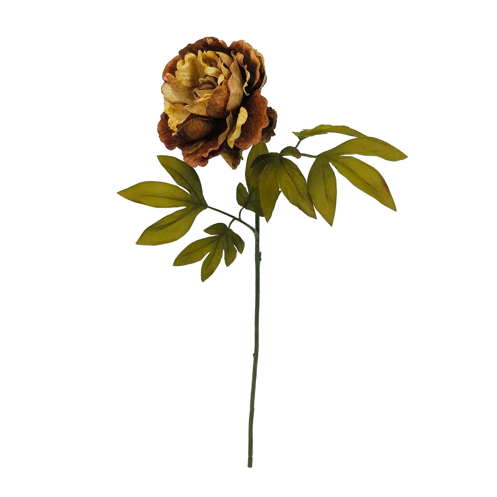 MICHAELS Fall Decorations for Home Brown Peony Stem by Ashland® | Walmart (US)