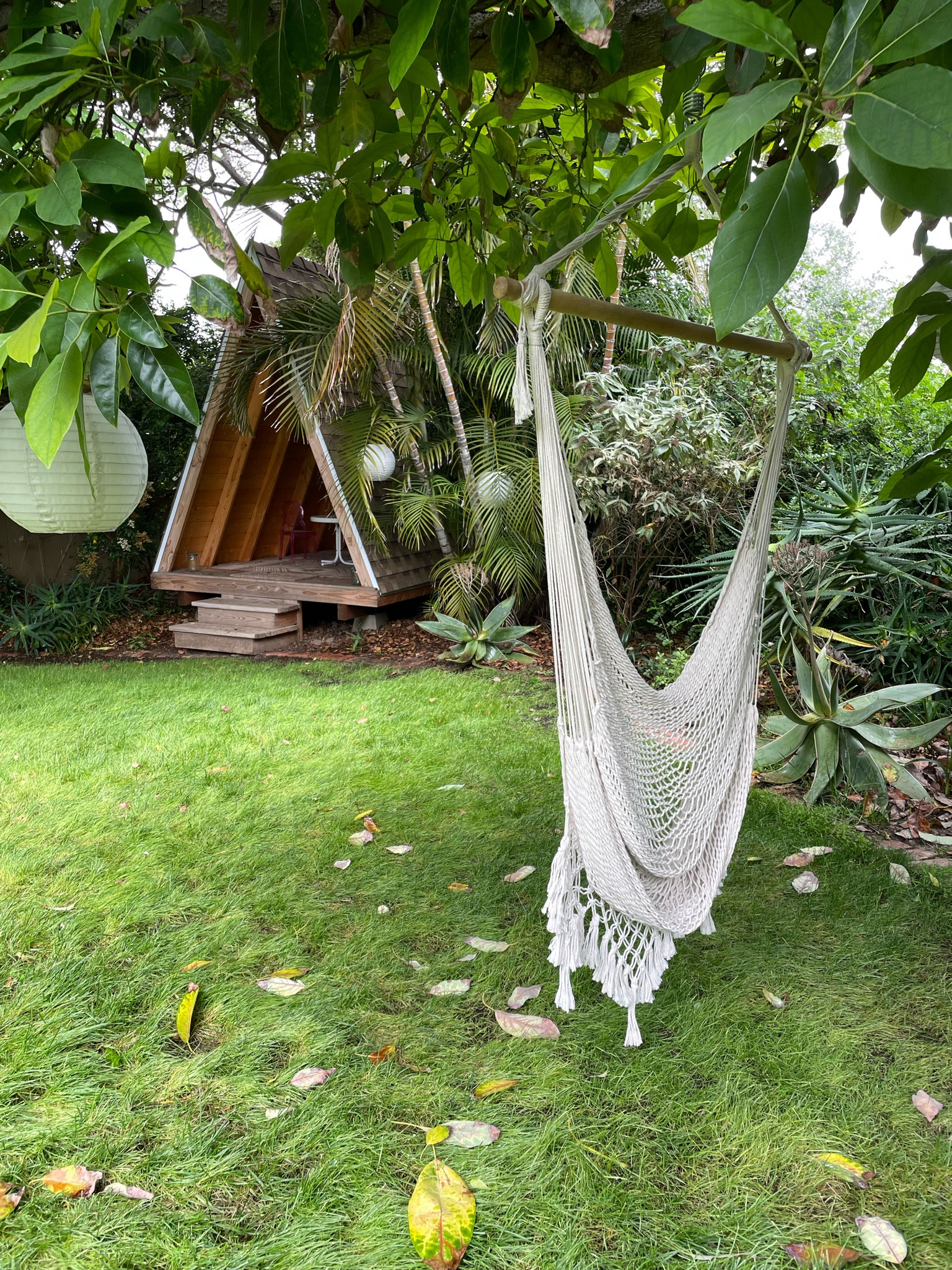 Hang this rope swing from your backyard tree for instant summer vibes 

#LTKSeasonal #LTKunder50 #LTKhome