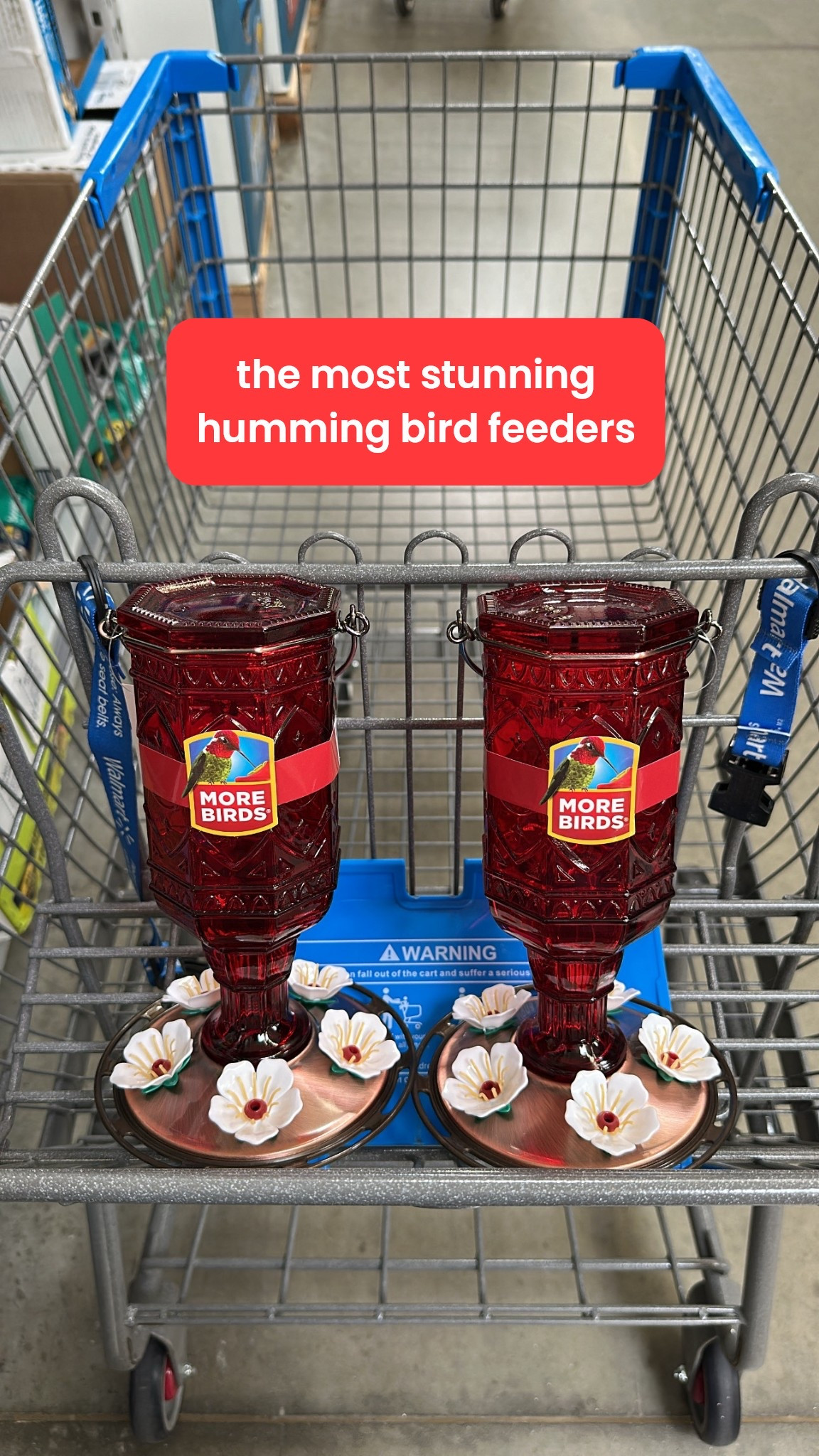 the most stunning yet affordable hummingbird feeders❤️



#LTKHome #LTKSaleAlert #LTKSeasonal