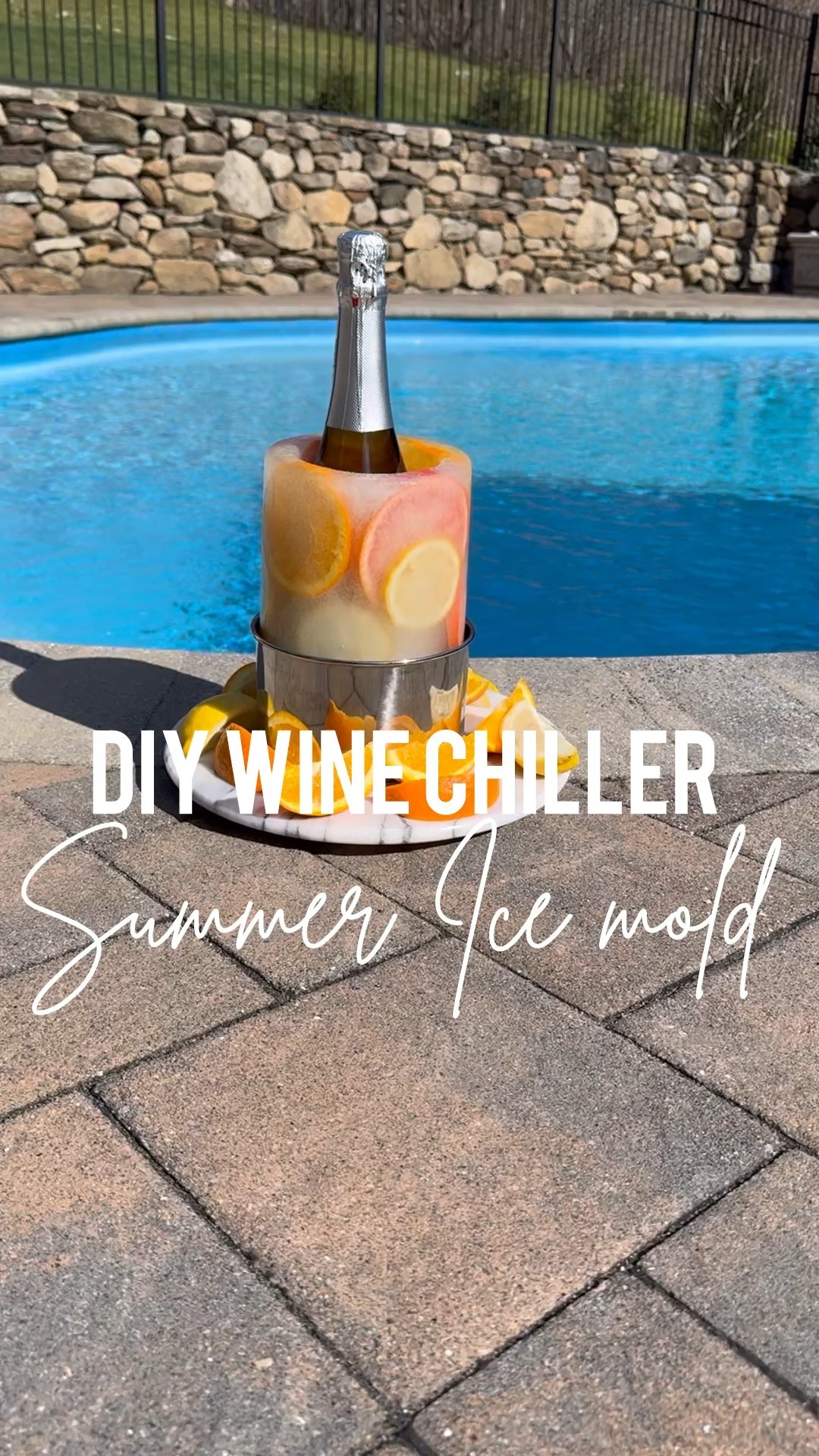 Summer DIY Wine Chiller Ice Mold